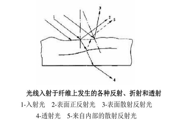 光線入射于纖維上發(fā)生的各種反射、折射和透射